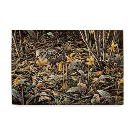 Wilhelm Goebel 'Early Brood Woodcock Young' Canvas Art,30x47